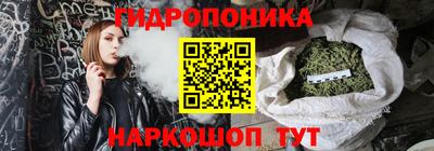 крисы Берёзовский