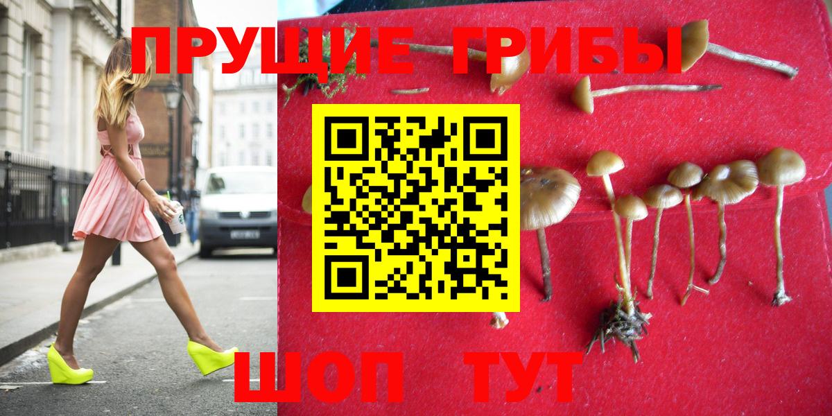 Псилоцибиновые грибы мухоморы  Вход с VPN  Кингисепп  Галлюциногенные грибы ЛСД 